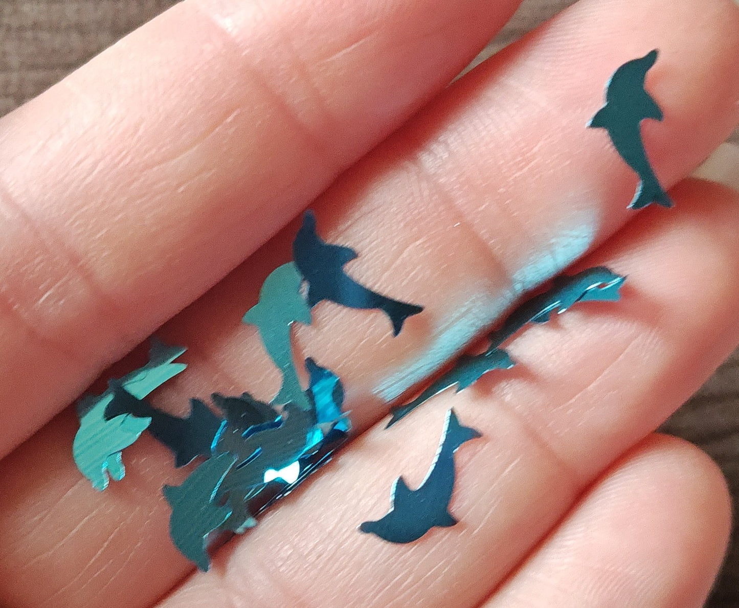 Dolphins (blue)