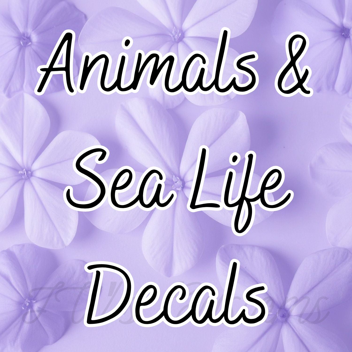 Animals & Sea Life