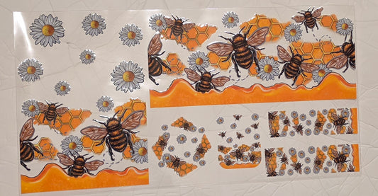 C7- Bee 6 PC Set