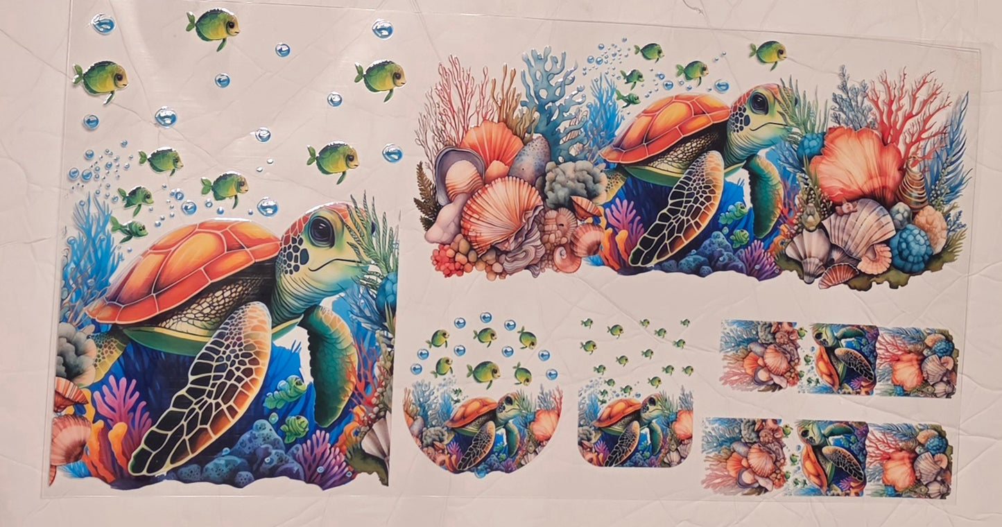 C30-Turtle 6 PC Set