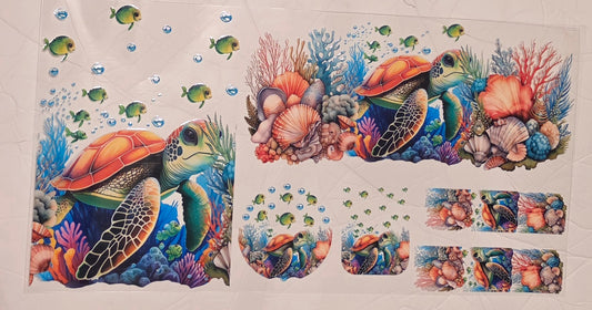 C30-Turtle 6 PC Set