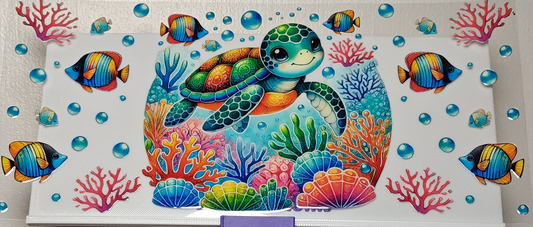 A147-Turtle