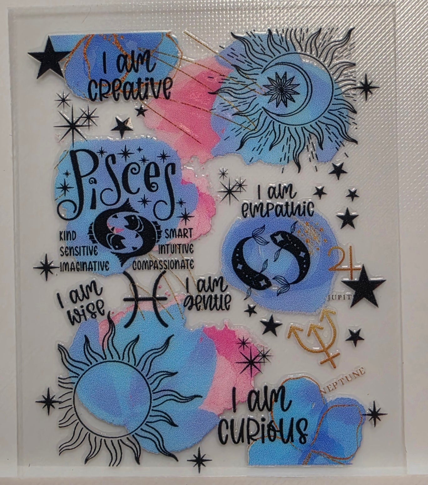 B26-Pisces Spray Bottle Decals