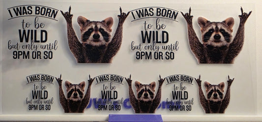 E27- Wild Shotglass Decal